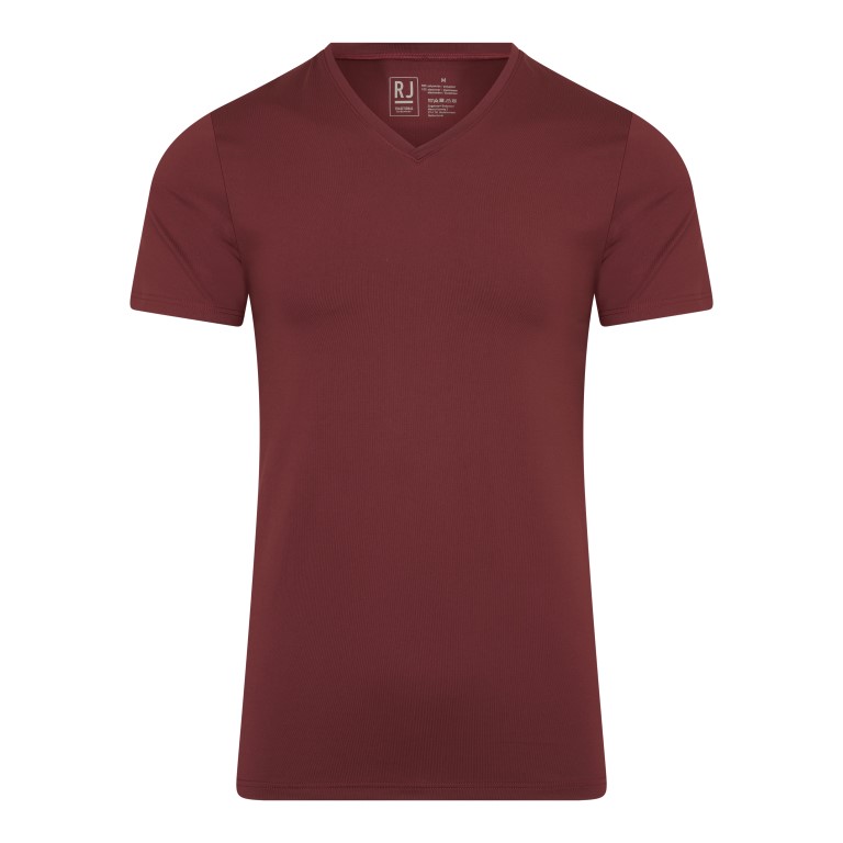 RJ Bodywear Pure Color Heren V-hals T-Shirt Port XL