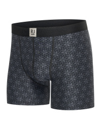 RJ Pure Fashion Heren Boxershort Geometric