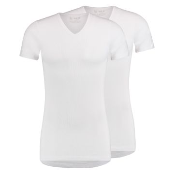Leeuwarden Heren T-Shirt V-Hals 2-pack