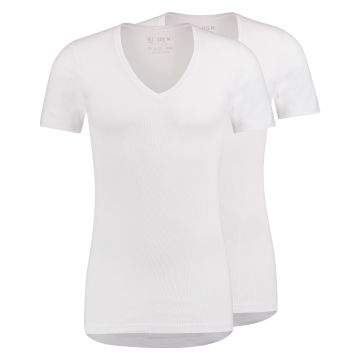 Alkmaar Heren T-Shirt Diepe V-Hals 2-pack