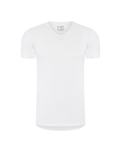 RJ Anti-Zweet Heren T-Shirt V-Hals